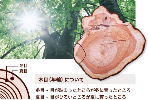 木目(年輪)について